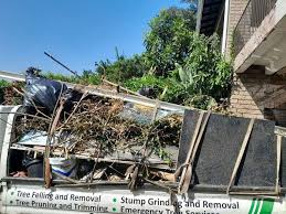Best Estate Cleanout  in Arial, SC